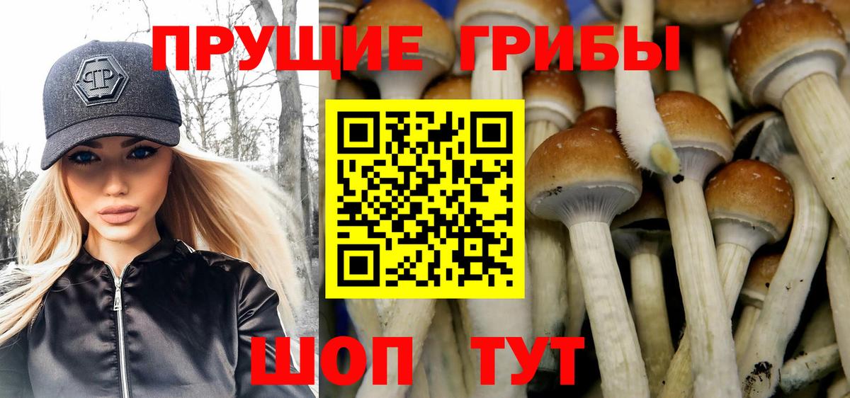 Псилоцибиновые грибы Magic Shrooms Братск