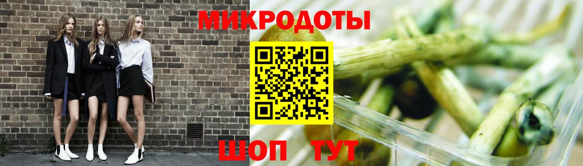 Братск  Псилоцибиновые грибы мухоморы  Вход с VPN 